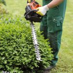 jardinage, entretien de jardin, débroussaillage, taille de haie, arrosage jardin, vaucluse, alpilles, luberon, gardening, garden maintenance, brush clearing, hedge trimming, garden watering