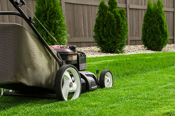 jardinage, entretien de jardin, débroussaillage, taille de haie, arrosage jardin, vaucluse, alpilles, luberon, gardening, garden care, brush cutting, hedge trimming, garden watering