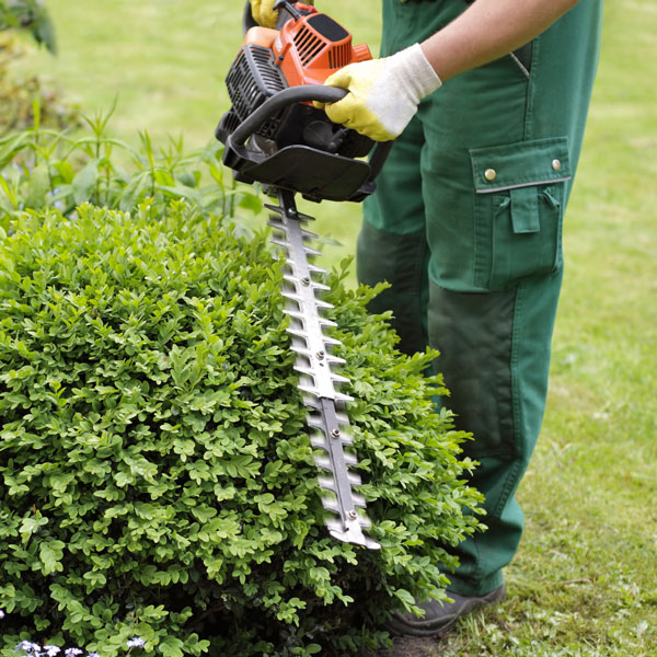 Matériel de jardinage pour entretien de jardin et espaces verts