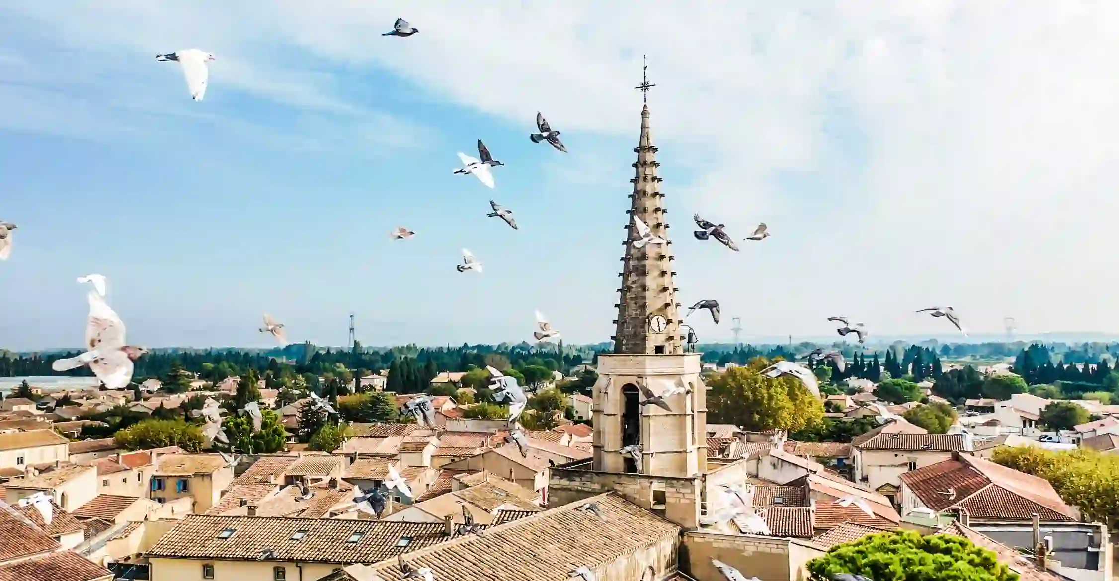 Vue de Graveson avec son clocher caractéristique, des oiseaux volant au-dessus des maisons typiques de la région.